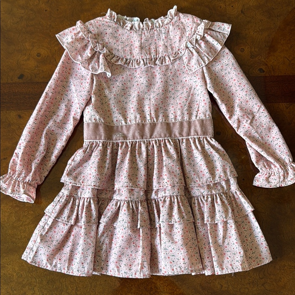 Imoga Pink Floral Kids Dress Size 4